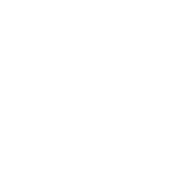 Logo Linkedin